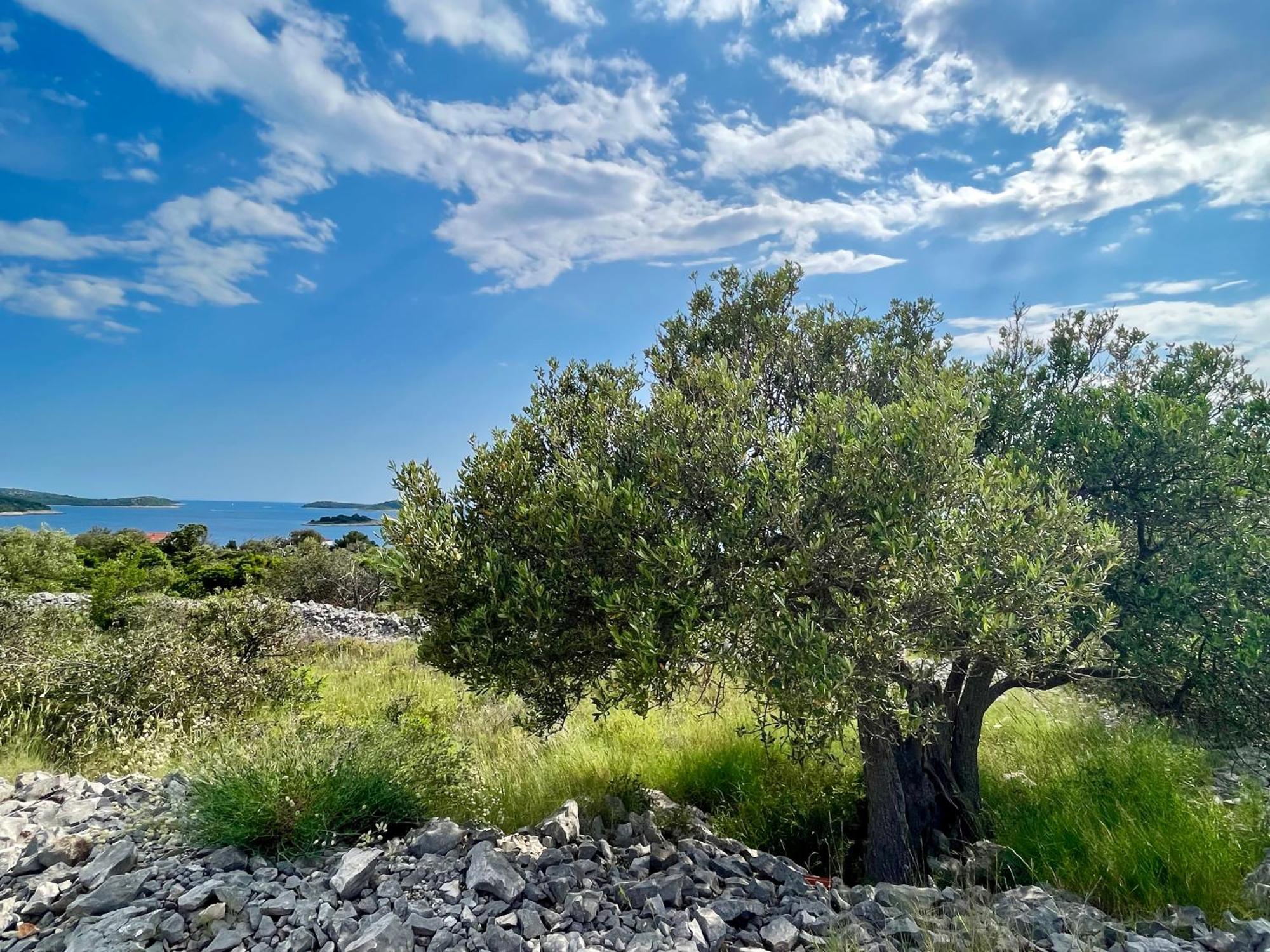 Apartmani Mate Rogoznica  Exteriér fotografie