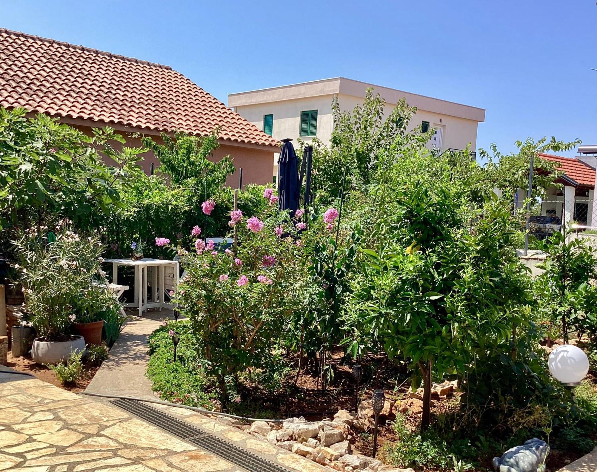 Apartmani Mate Rogoznica  Exteriér fotografie